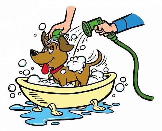 Мытьё и вычёсывание собак крупных пород Донецк