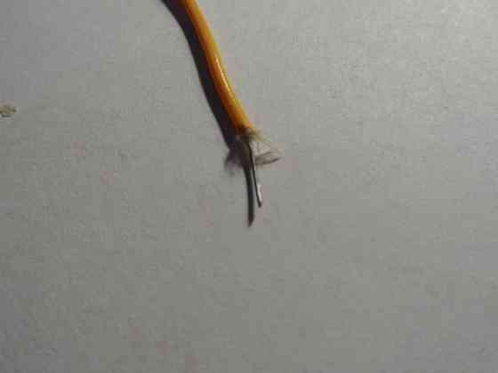 Тонкий медный провод 0,5 мм, 24AWG, телефонный кабель, ТРП, медь лужёная Донецк