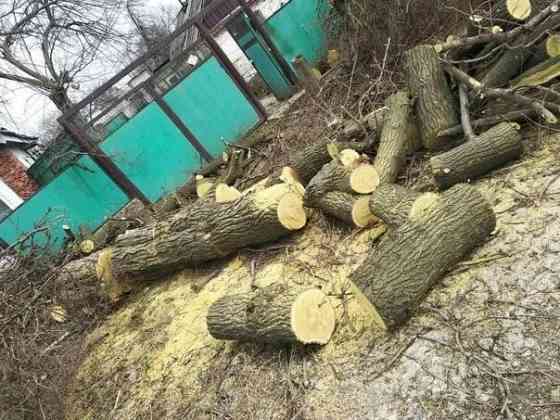 Валка деревьев Донецк