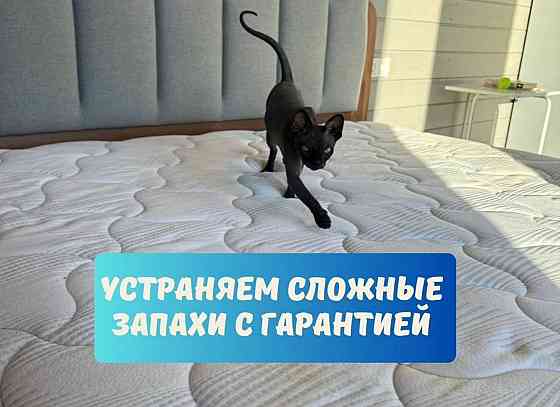 Химчистка мягкой мебели Донецк