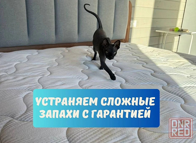 Химчистка мягкой мебели Донецк - изображение 6