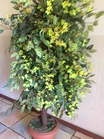 Искусственное дерево Лимонник для домашнего антуража Донецк