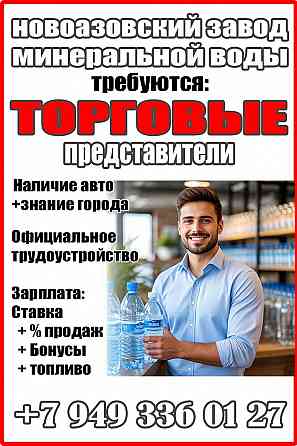 Торговый представитель Харцызск Харцызск