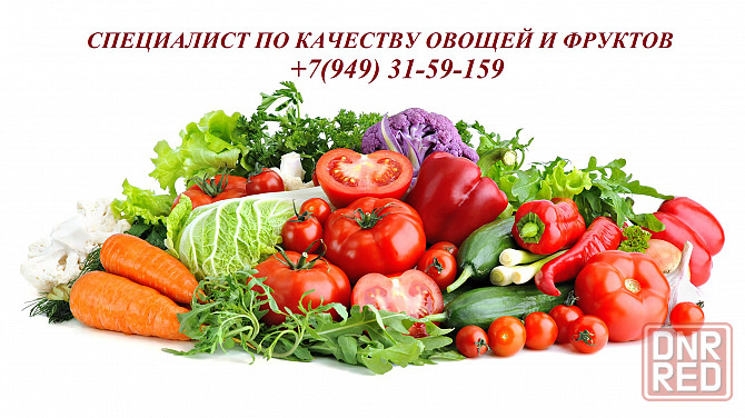Менеджер по закупке свежих овощей и фруктов Макеевка - изображение 1