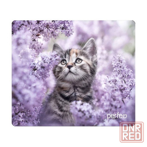 Коврики под мышь Perfeo серии "CAT" (340x280mm) Донецк - изображение 4