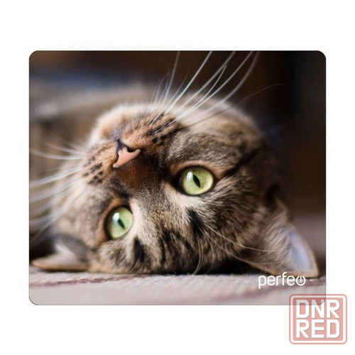 Коврики под мышь Perfeo серии "CAT" (340x280mm) Донецк - изображение 5