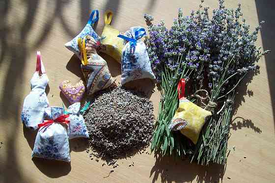 Лаванда, продам цветы лаванды, пахучий горный цветок Донецк