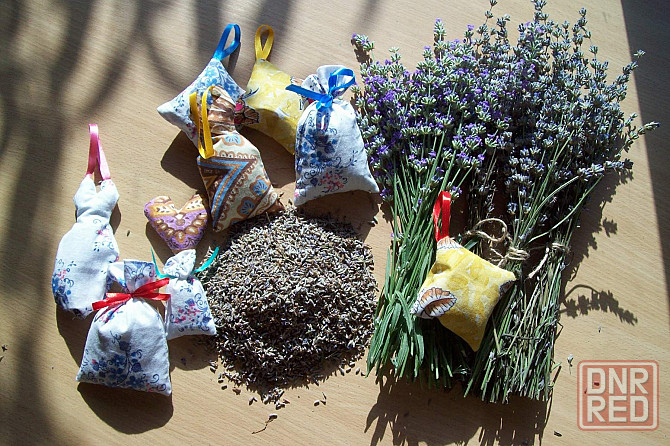 Лаванда, продам цветы лаванды, пахучий горный цветок Донецк - изображение 6