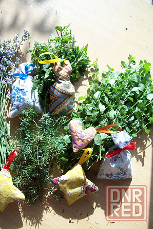 Лаванда, продам цветы лаванды, пахучий горный цветок Донецк - изображение 4