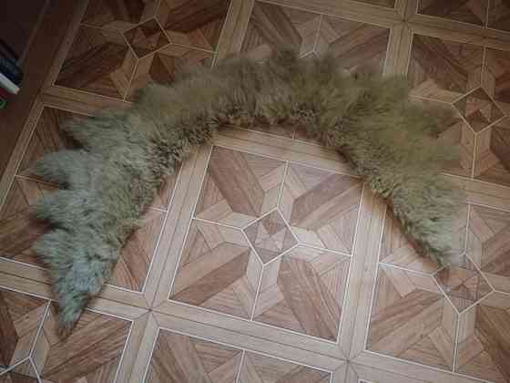Продам натуральный мех овчина воротник 100 см Донецк
