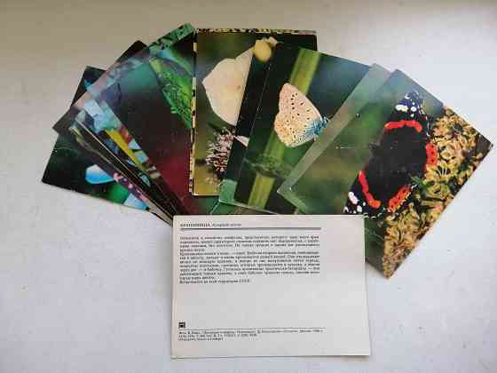 Продам набор открыток фотографий Насекомые 23 штуки Донецк