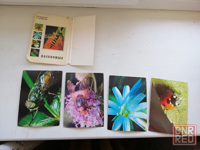 Продам набор открыток фотографий Насекомые 23 штуки Донецк - изображение 1