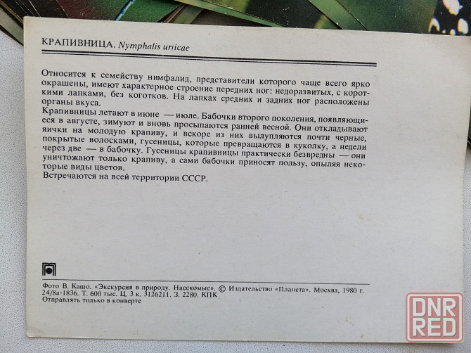 Продам набор открыток фотографий Насекомые 23 штуки Донецк - изображение 7