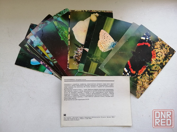 Продам набор открыток фотографий Насекомые 23 штуки Донецк - изображение 5