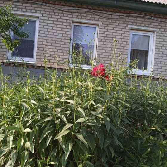 Продам дом 80м2 в городе Луганск, район Черного кота Луганск