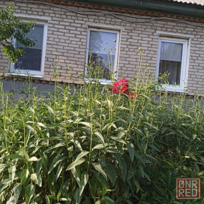 Продам дом 80м2 в городе Луганск, район Черного кота Луганск - изображение 1