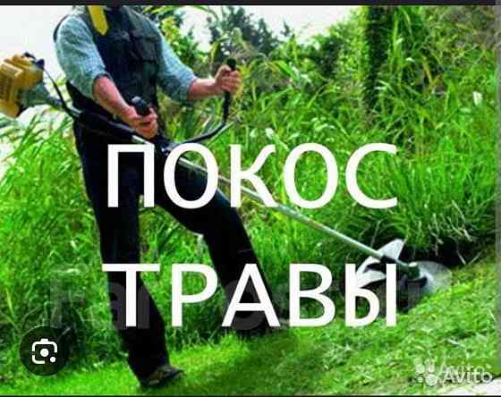 Покос травы, спил деревьев, полная расчистка участников Донецк