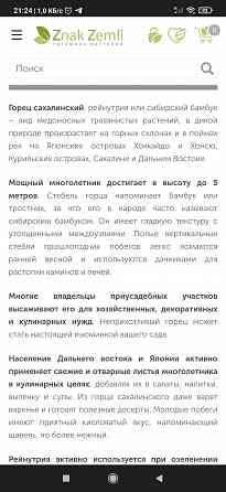 Продам Горец Сахалинский Гречиха Сахалинская, Рейнутрия, сибирский бамбук Донецк