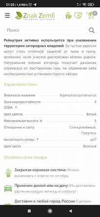 Продам Горец Сахалинский Гречиха Сахалинская, Рейнутрия, сибирский бамбук Донецк