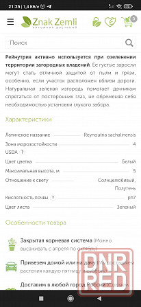 Продам Горец Сахалинский Гречиха Сахалинская, Рейнутрия, сибирский бамбук Донецк - изображение 6