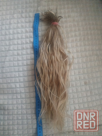 Натуральные волосы славянка для наращивания Донецк - изображение 2