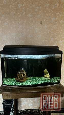 Аквариум с рыбами Макеевка - изображение 2