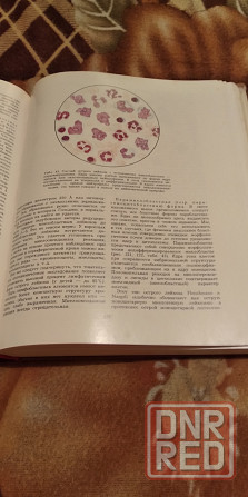 Клиническая гематология-мед.книга. Донецк - изображение 3