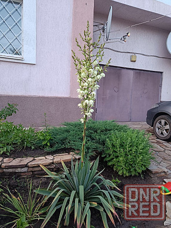 Продам дом 290м2 в городе Луганск, район парка Горького Луганск - изображение 3