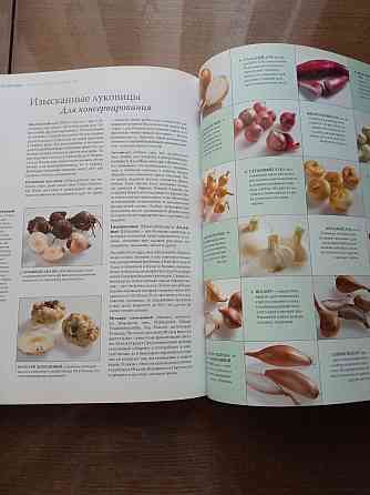 Книга по кулинарии. Фрукты и овощи Донецк