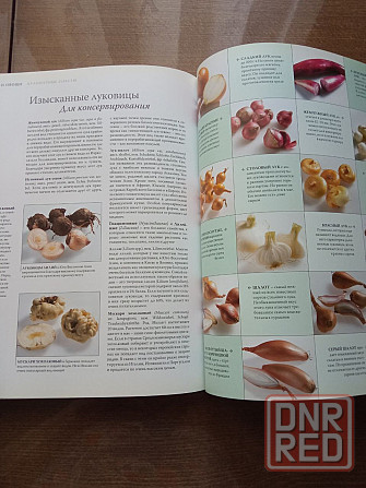 Книга по кулинарии. Фрукты и овощи Донецк - изображение 5