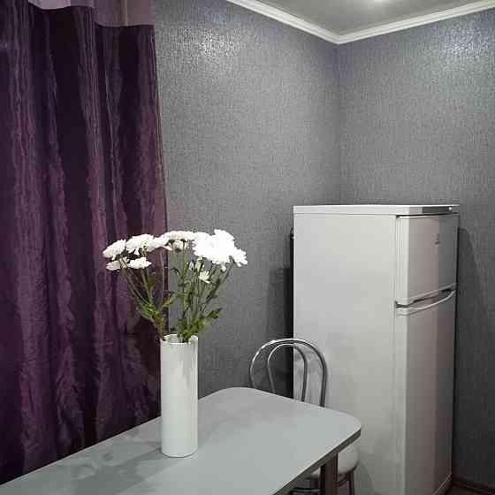 1-комнатная квартира с ремонтом в центре Калининского района 29,3 м2 Донецк