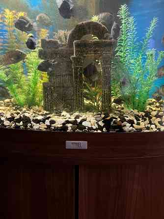 Продам аквариум Juwel Донецк