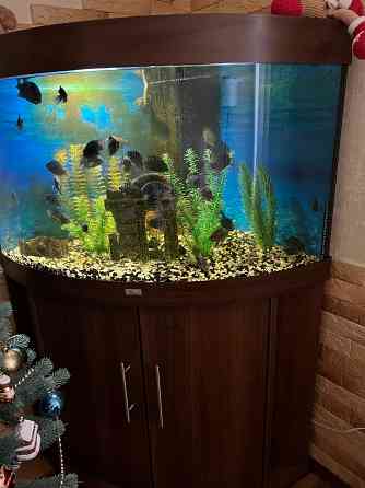 Продам аквариум Juwel Донецк