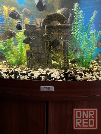 Продам аквариум Juwel Донецк - изображение 2