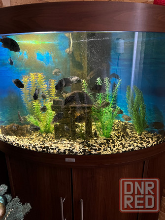 Продам аквариум Juwel Донецк - изображение 1