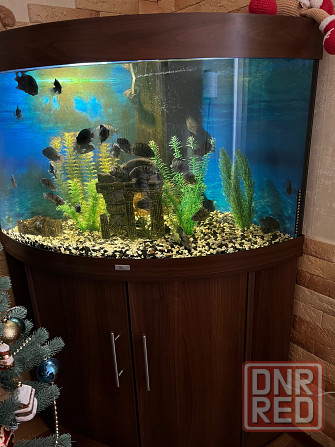 Продам аквариум Juwel Донецк - изображение 3