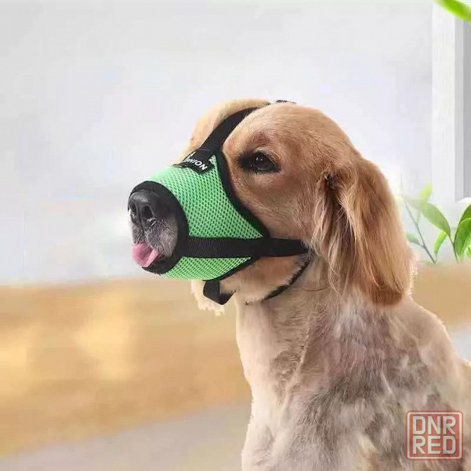 Намордник для собак | Ошейник для собак | Поводок для собак | Собачий Донецк - изображение 1