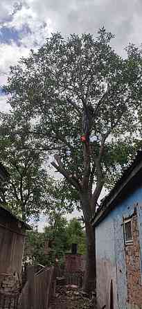 Валка деревьев Донецк