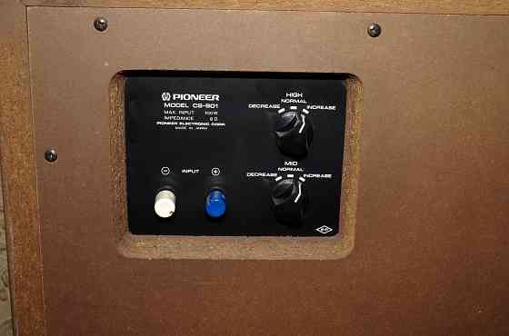 Акустическая система Pioneer CS-901 -- Japan - Донецк