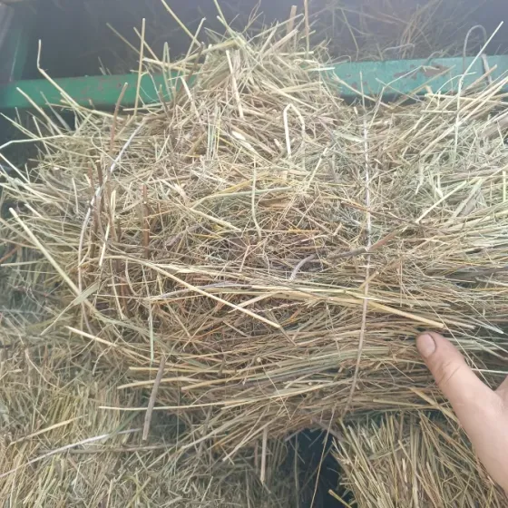 Продам сено луговое, люцерна Харцызск