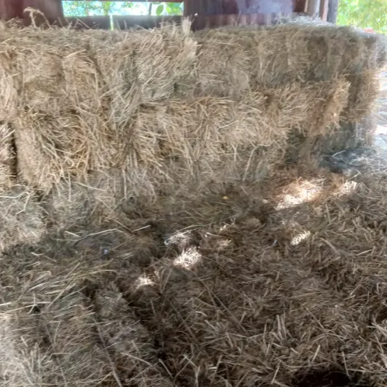 Продам сено луговое, люцерна Харцызск