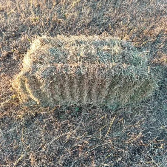Продам сено луговое, люцерна Харцызск