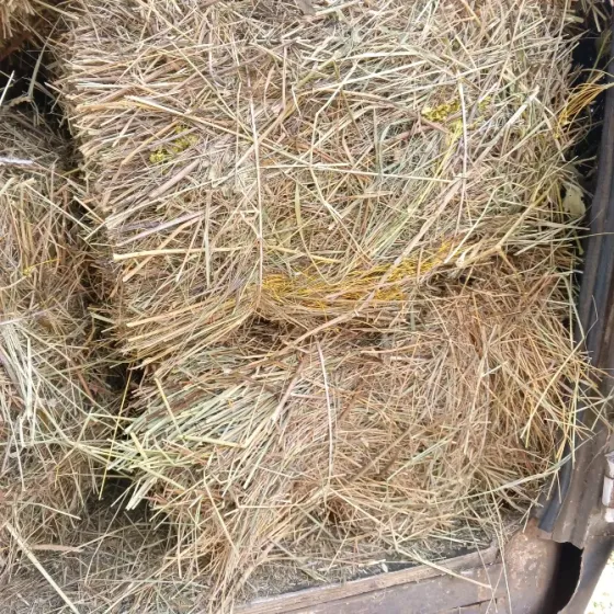 Продам сено луговое, люцерна Харцызск