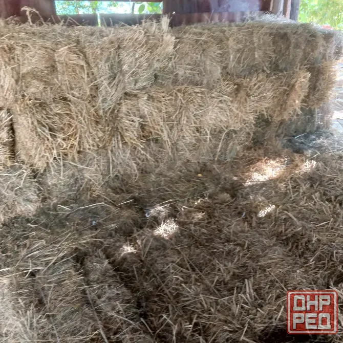 Продам сено луговое, люцерна Харцызск - изображение 2