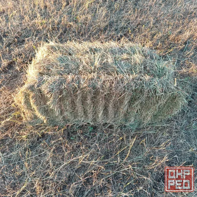 Продам сено луговое, люцерна Харцызск - изображение 4