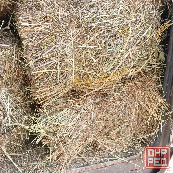 Продам сено луговое, люцерна Харцызск - изображение 3