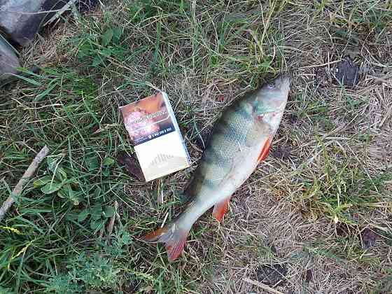 Комплект на рыбалку Донецк