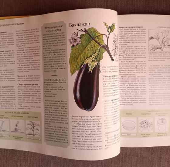 Книга Сад, который кормит Донецк