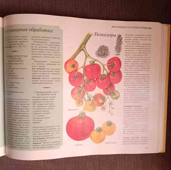 Книга Сад, который кормит Донецк