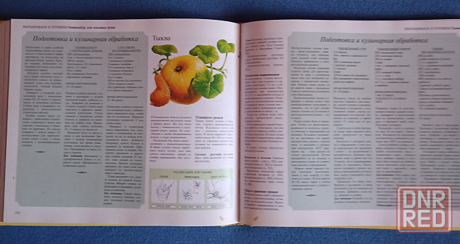Книга Сад, который кормит Донецк - изображение 7